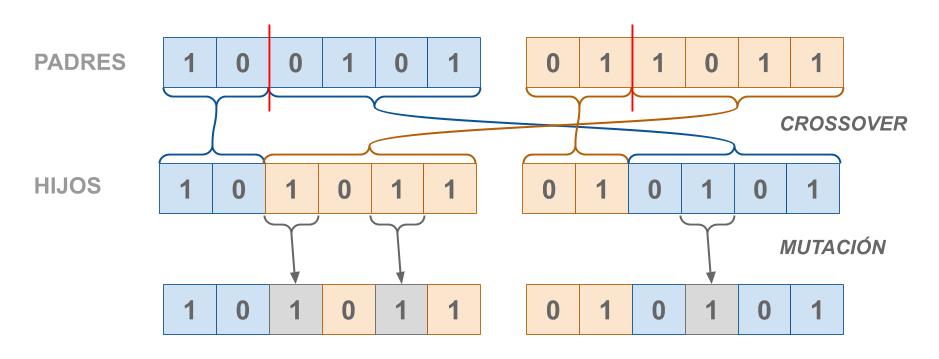 Fig.3. Operadores básicos utilizados por los Algoritmos Genéticos.